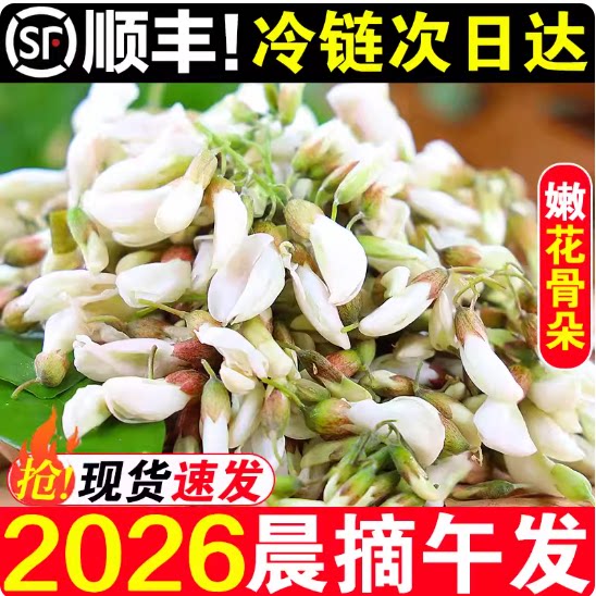 2026冷冻洋槐花现摘杨槐花骨朵蒸菜当季河南鲜槐花苞野生野菜食用