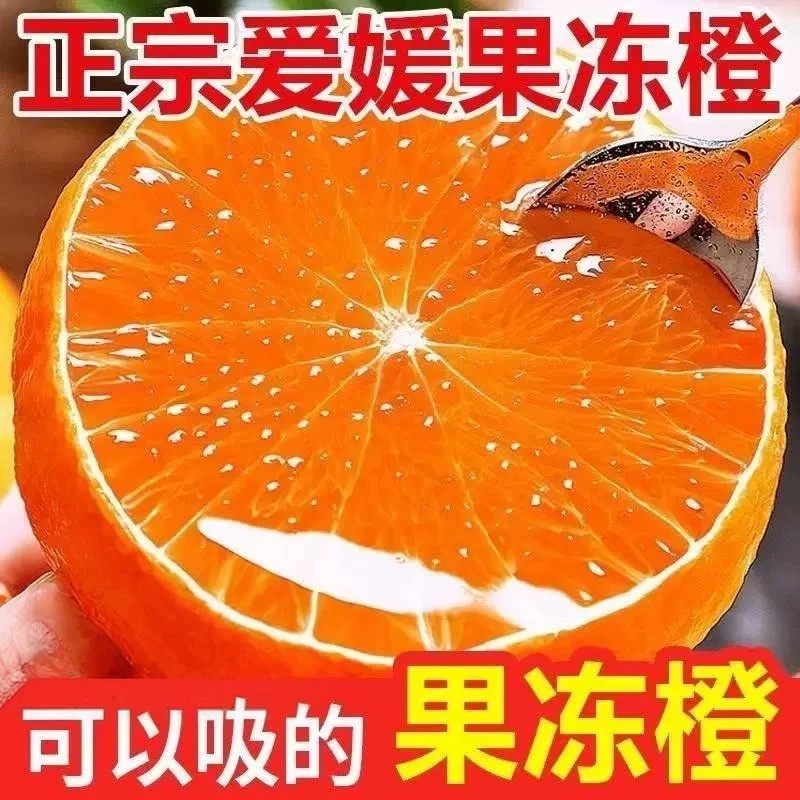正宗四川爱媛38号果冻橙新鲜橙子当季现摘水果现摘现发手剥橙整箱图片
