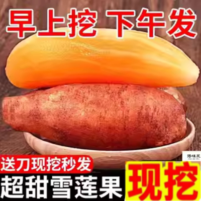 正宗云南天山雪莲果新鲜水果当季时令黄心1/10斤装一整箱包邮
