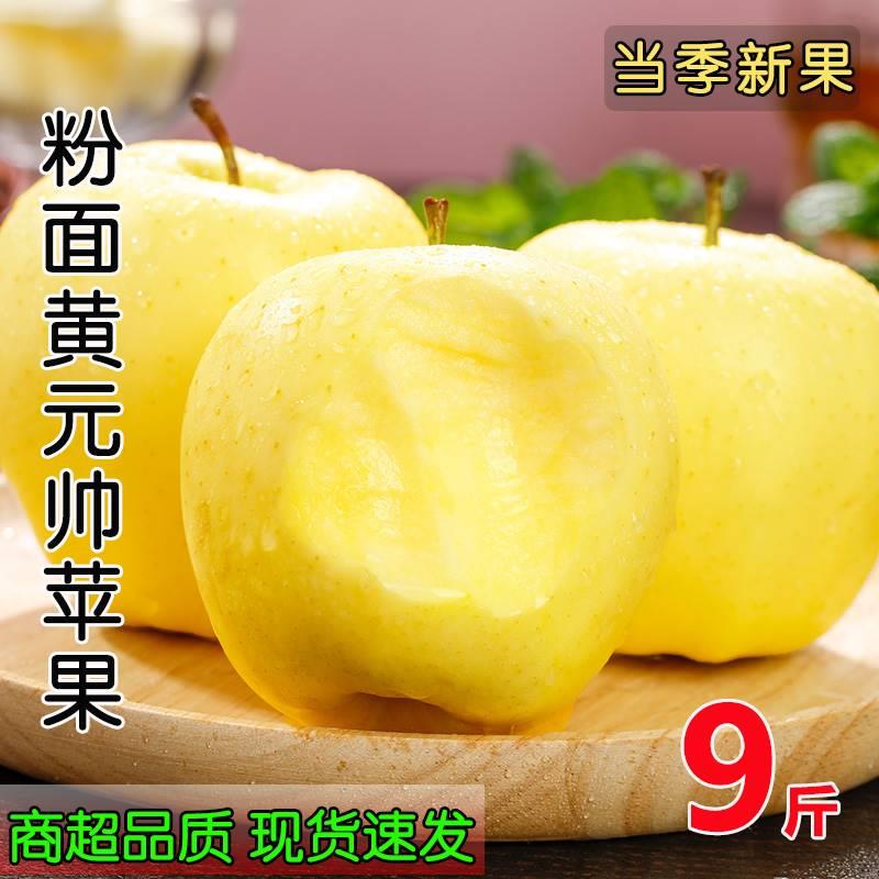 粒味果陆大中国苹士富连元黄帅