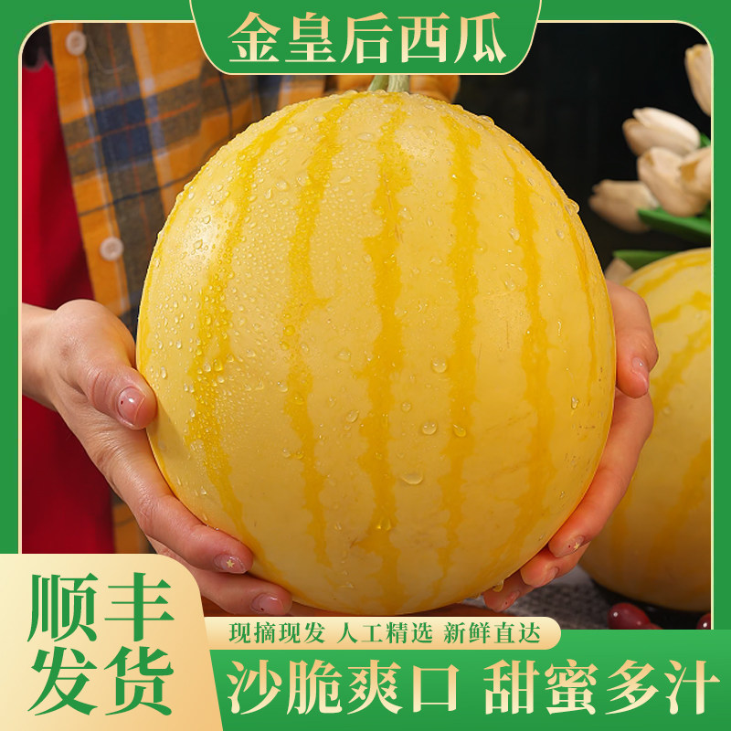 【顺丰】金皇后西瓜新鲜采摘黄皮红肉西瓜脆甜多汁礼盒装1个起