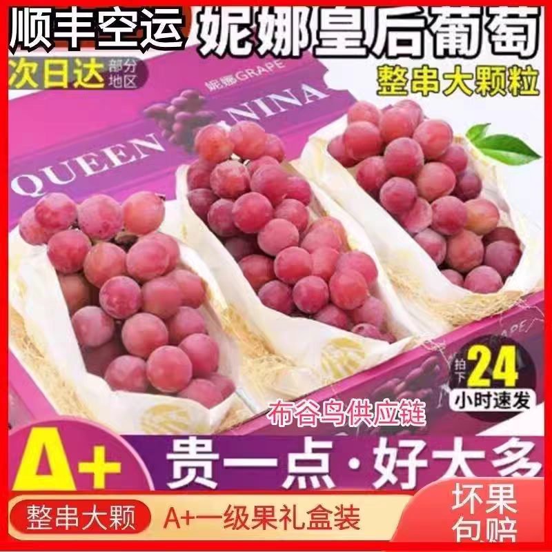 【顺丰送上门】妮娜皇后葡萄新鲜水果红提子特级一级果