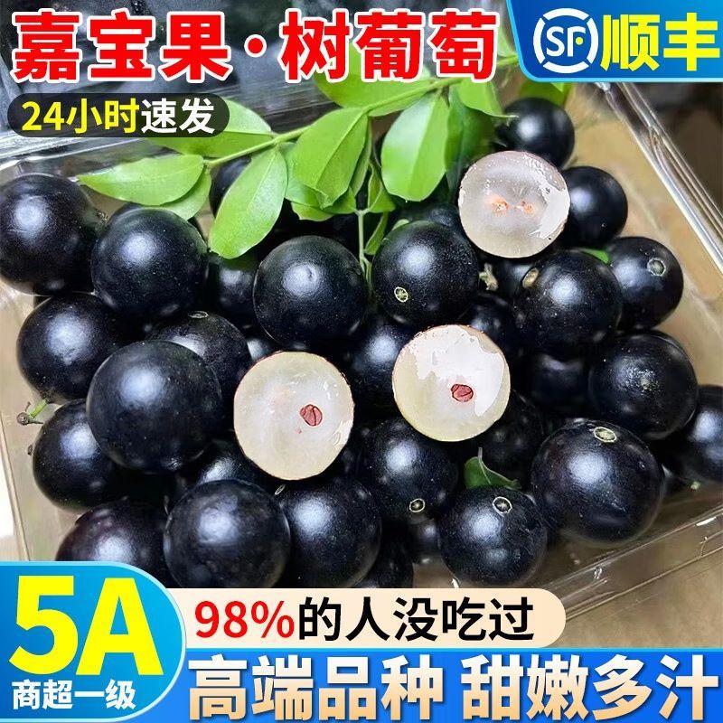 【顺丰百果之王】嘉宝果新鲜现摘沙巴品种树葡萄高档孕妇稀有水果