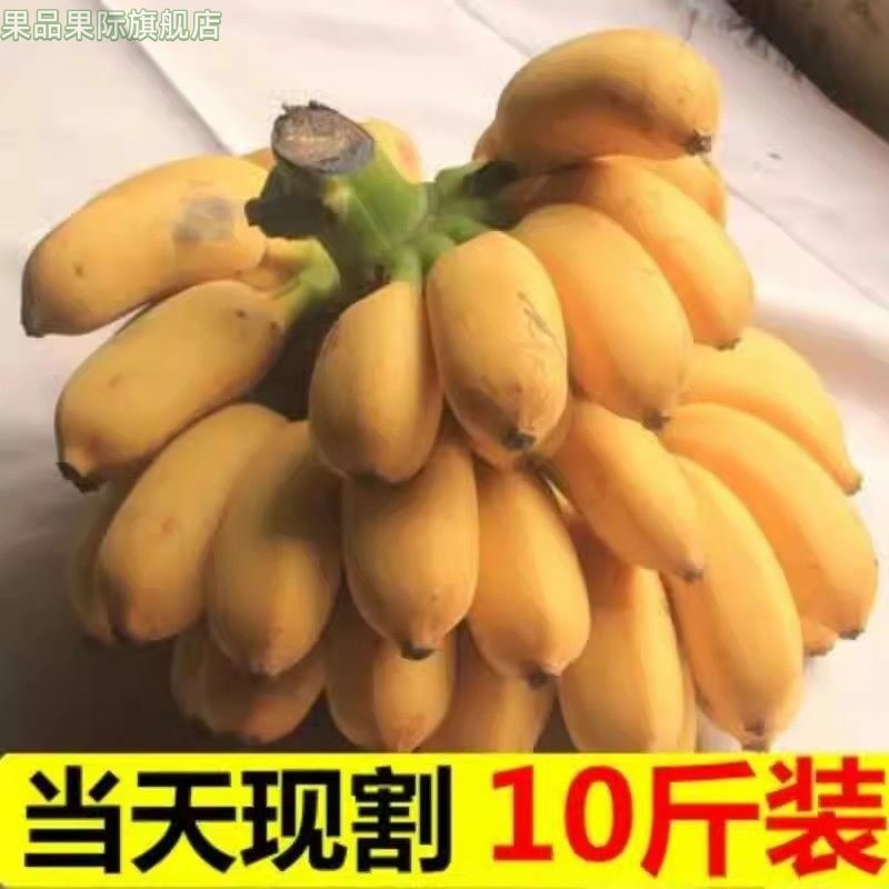 广西苹果蕉新鲜10斤整箱当季水果香蕉芭蕉小米蕉皇帝蕉整箱包邮,水产肉类/新鲜蔬果/熟食,香蕉,淘宝优惠券,粉丝福利购,淘宝优惠卷