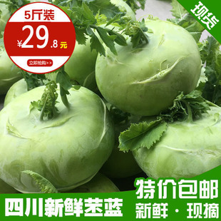 四川蔬菜优质新鲜脆嫩 苤蓝 土苤 茄莲 球茎甘蓝 橄榄球 大头菜