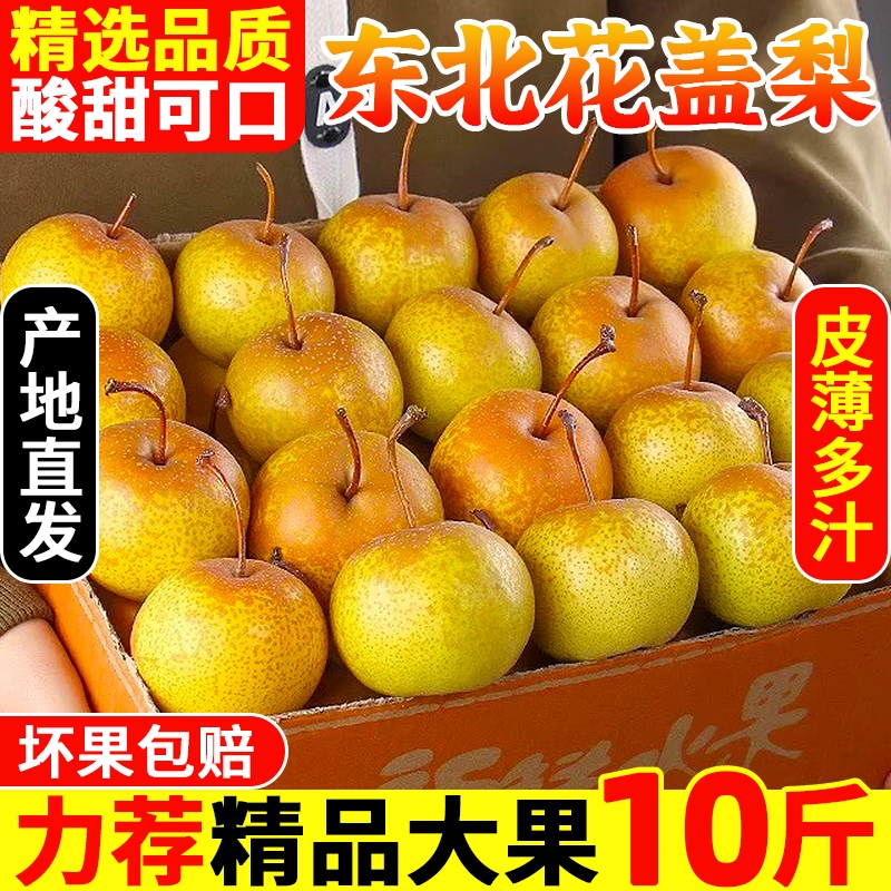 正宗花盖梨10斤新鲜现摘蜜梨软梨子可做冻梨东北鞍山特产水果包邮