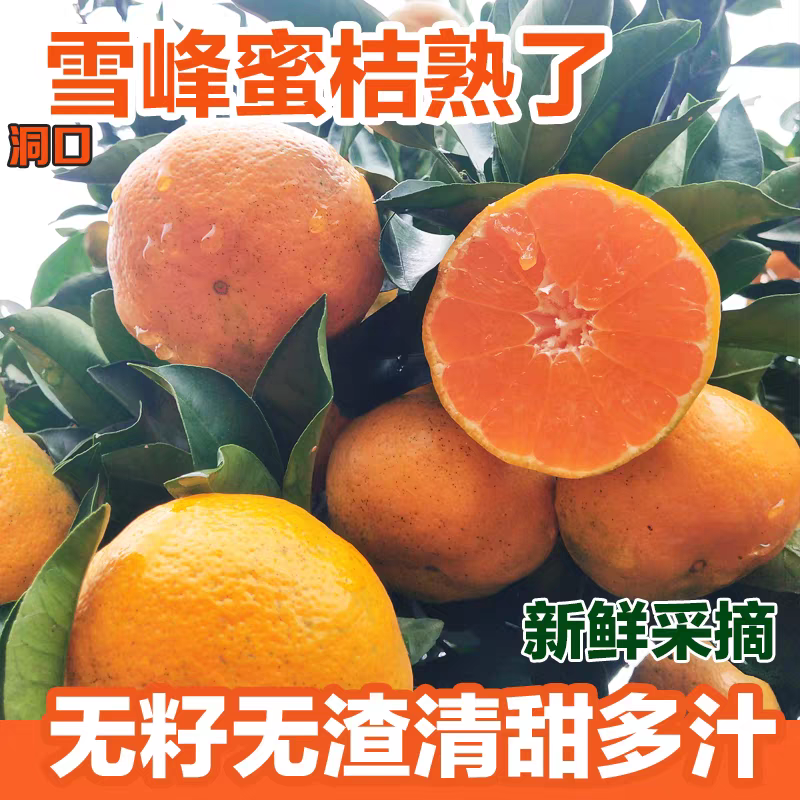 湖南无籽洞口雪峰蜜桔子早熟青皮酸甜孕妇橘子薄皮应当季新鲜水果