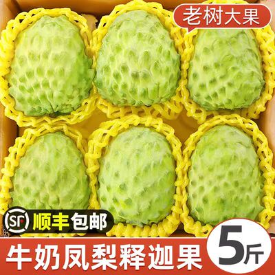 云南新鲜牛奶释迦果5斤当季番荔枝大目凤梨大果1-5斤佛头热带水果