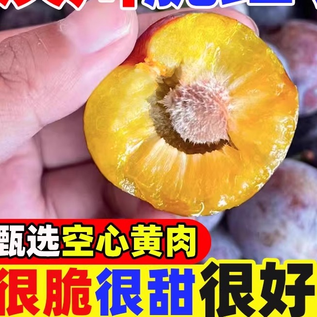 【珍珠脱骨李】脆红李半边红应季水果黄肉脱骨非青脆李