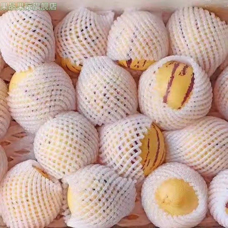 人参果新鲜水果云南石林黄心圆果树上熟七彩人叁果应当季整箱包邮,水产肉类/新鲜蔬果/熟食,人参果,淘宝优惠券,粉丝福利购,淘宝优惠卷