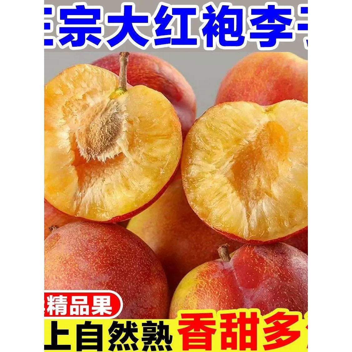 东北大红袍李子特产脱骨脆甜干碗红布林李子新鲜应季水果9斤