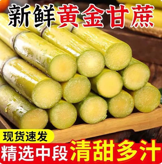 正宗广西黄金甘蔗脆甜中段黄皮甘蔗当季新鲜时令水果整箱甘蔗水果