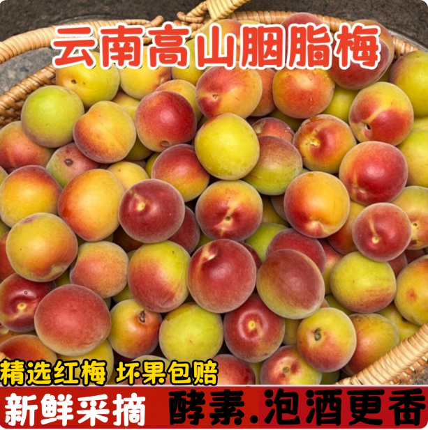 胭脂梅 云南胭脂梅5斤泡酒现摘黄梅高山野生酸梅子新鲜胭脂红梅