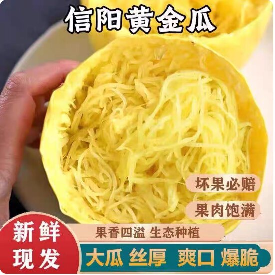 新鲜金丝瓜金瓜黄金瓜茭瓜搅瓜丝瓜鱼刺瓜新菜粉丝爆款农家自种
