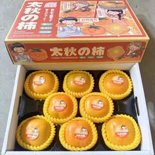 太秋脆柿熙果树太秋柿礼盒装4斤新鲜水果富有甜脆柿糖心柿不涩口