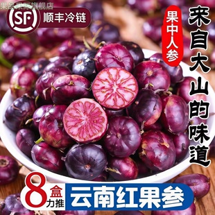 云南高原特色红果参马关红果参新鲜早熟果小红果新奇果果原产地