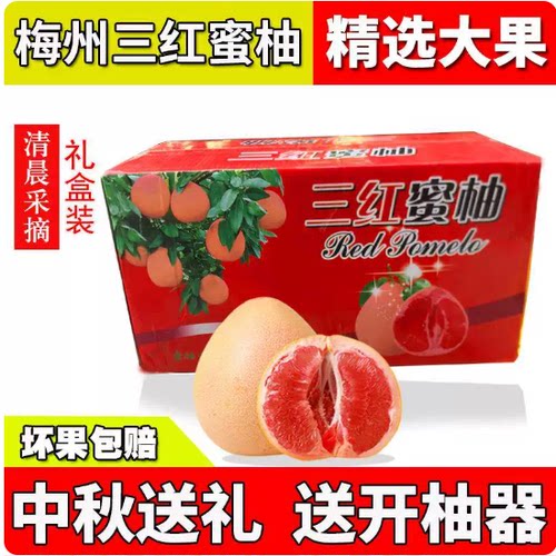 正宗梅州红心柚子三红蜜柚大果红肉蜜柚中秋