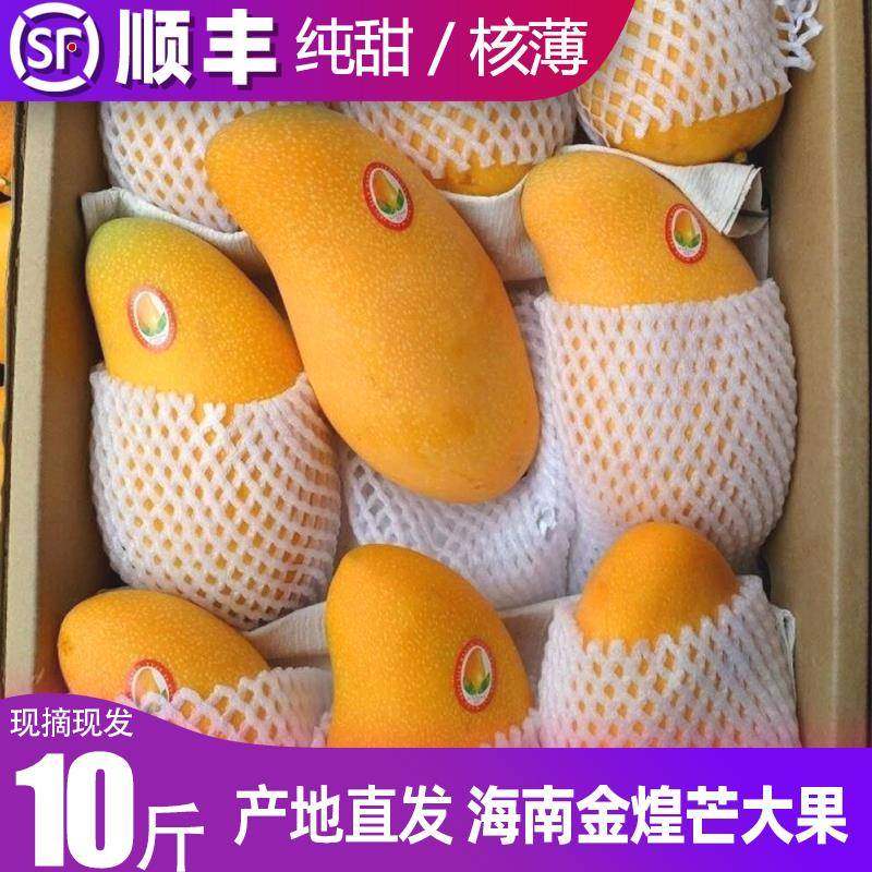 现货海南金煌芒特大水仙芒果新鲜三亚金煌芒果新鲜特大果超甜