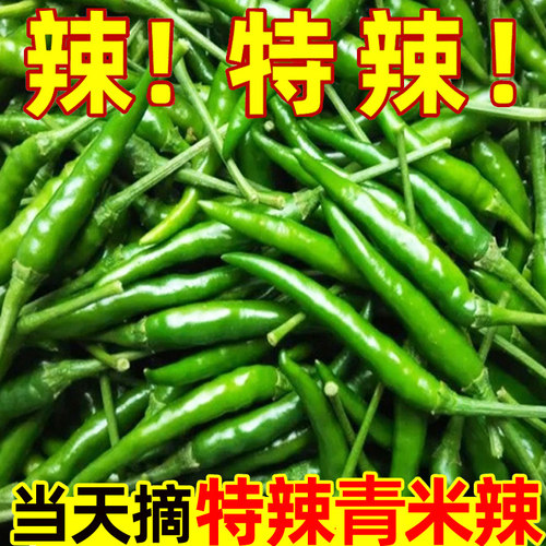 辣椒新鲜青小米辣椒5斤二荆条小米辣蔬菜朝天椒辣椒尖椒非七彩椒