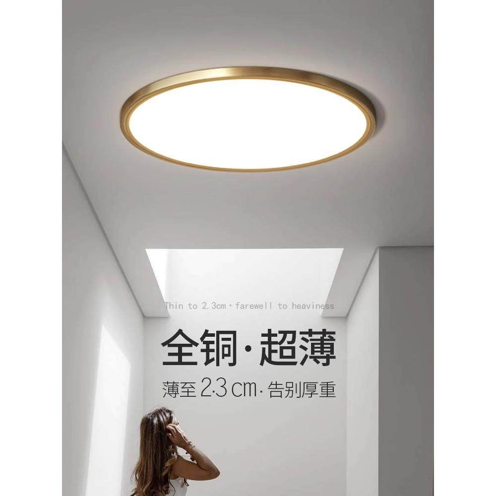 2024新款全铜吸顶灯led超亮防蚊虫防潮三色遥控阳台卧室灯具