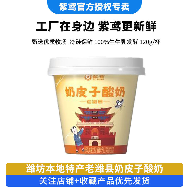 紫鸢老潍县奶皮子酸奶120g*4杯低温短保酸奶潍坊特产网红酸奶