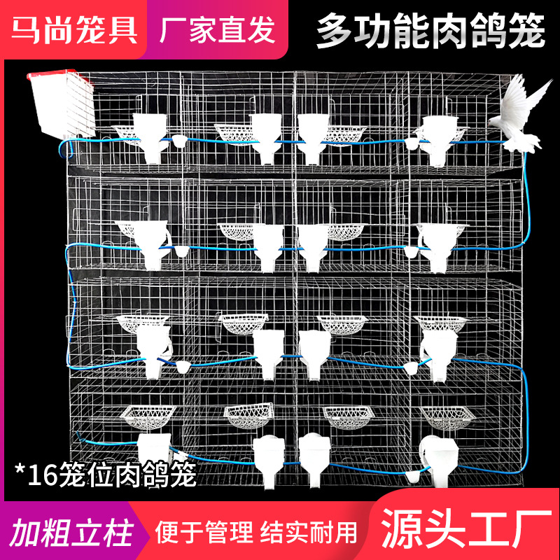 鸽子笼鸽笼养殖笼厂家 加粗超大号镀锌16位四层配件齐全肉鸽笼