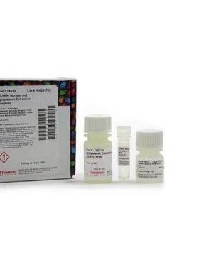 THERMO发光液34580赛默飞化学发光底物34578