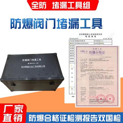 防爆堵漏工具磁压式堵漏工具注入式阀门式粘贴式无火花堵漏工具组