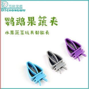 笃特宠物鹦鹉水果叉多功能小鸟谷穗墨鱼骨蔬菜夹鸟笼零食固定夹