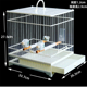 颠颏鸟笼子塑钢鸟笼长方形靛颏养笼板顶亮顶玻璃钢洗澡笼抽屉鸟笼