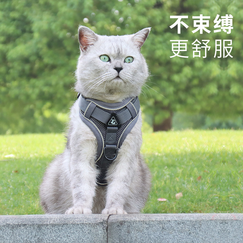 猫咪牵引绳防挣脱布偶猫背带蓝猫溜猫绳子猫咪外出专用遛猫绳透气,宠物/宠物食品及用品,猫牵引绳,淘宝优惠券,粉丝福利购,淘宝优惠卷
