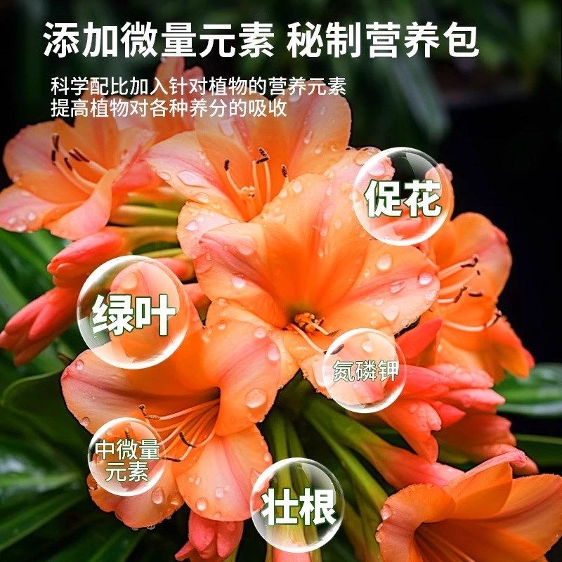 君子兰专用肥缓释肥兰花有机肥促箭剂复合肥料促开花上箭肥控释肥,鲜花速递/花卉仿真/绿植园艺,家庭园艺肥料,淘宝优惠券,粉丝福利购,淘宝优惠卷