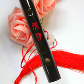 笛子竹笛学生笛初学者笛子成人笛子黑色古风横笛零基础初学笛