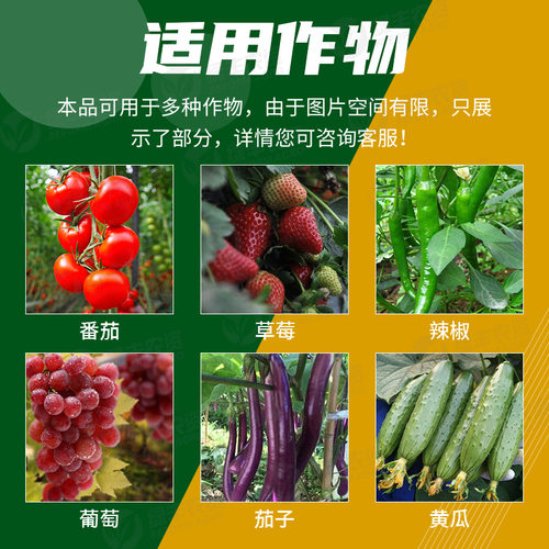利立凉高效遮阳蔬菜拱棚温室大棚专用防晒剂降温剂涂料喷雾剂神器