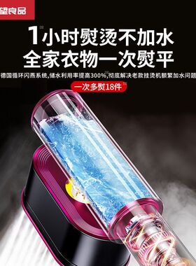【央视推荐】手持挂烫机家用小型蒸汽熨斗便携式熨烫旅行衣服电器