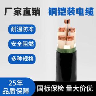 3KV钢带铠装 1芯国标低压中压1.8 阻燃电力电缆 3芯3 玖开YJV22铠装