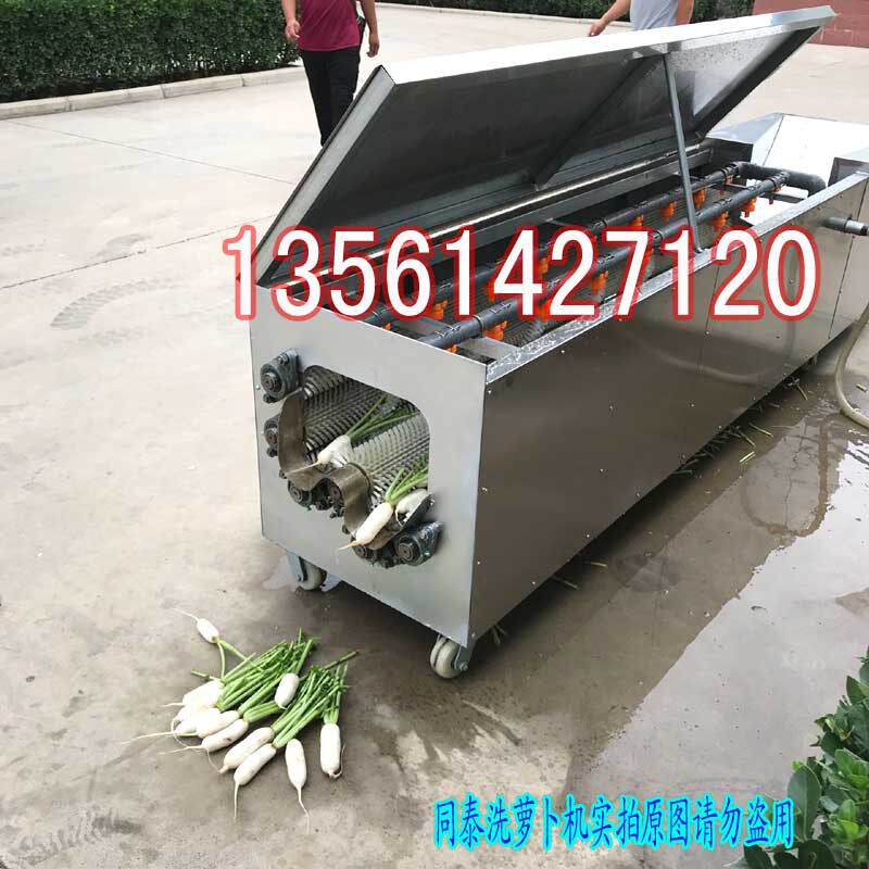 小型洗萝卜机全自动洗白萝卜清洗机水萝卜青萝卜水洗机