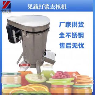 供应水果破碎去核机人参果打浆脱核机商用大型取杏核桃核机
