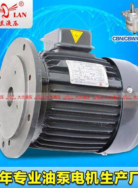 3HP大兰DALAN立式液压电机CBN三相异步油泵电机DL-90L-4-1.5KW