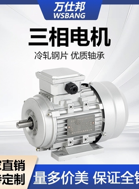 YS6334 250w三相异步电动机380V铝壳电机11轴1400转铜线国标马达