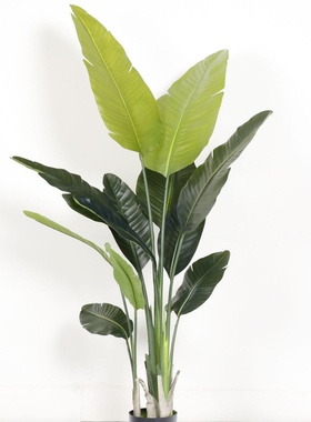 北欧仿真绿植旅人蕉盆栽轻奢风家居客厅落地装饰摆件仿生植物造景