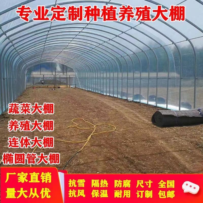 种植温室蔬菜育苗大棚骨架椭圆管钢管肩并肩连体大棚养殖猪牛羊棚