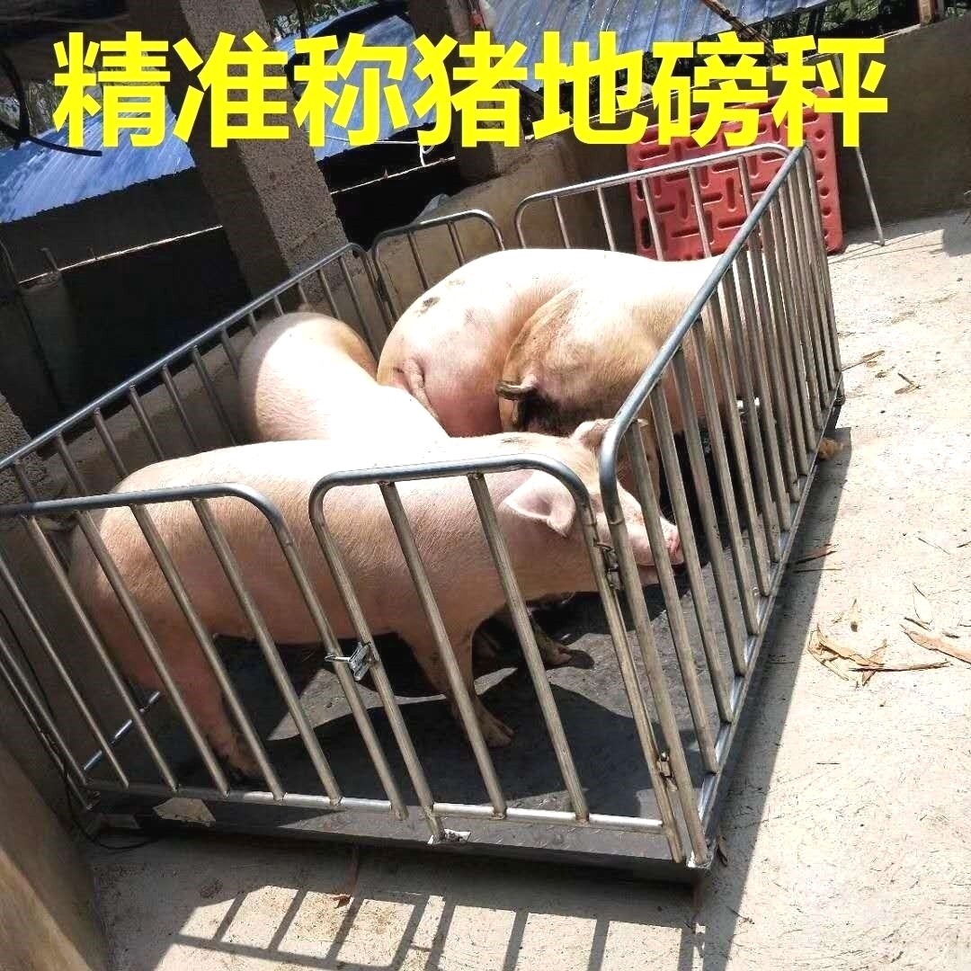 包邮耀华地磅秤称猪称牛地磅称电子秤1-3吨大小型地磅地秤地板称