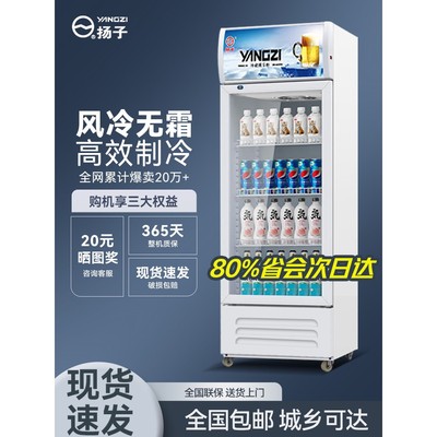 扬子单门风冷饮料展示柜冷藏冰柜保鲜柜冷饮冷柜商用啤酒冰箱立式