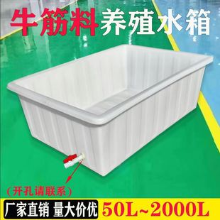 水产养殖箱加厚牛筋水箱塑料水槽长方形大号浅盆家用周转箱养殖养