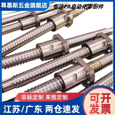 滚珠丝杠C-BSSC/BSSCK/BSST/BSSZ/BSSRK0802 1004 1002 1204丝杆