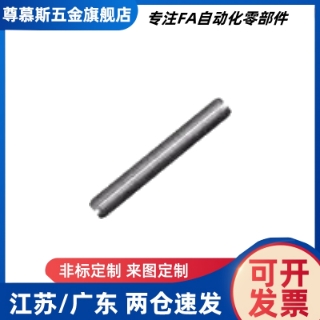 BLV02/BLV22-D1/1.5/2/3/4/5/6-L6/8/10/12/15/20/25/30定位销