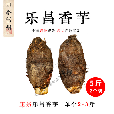 乐昌芋头5斤/箱，现挖现发