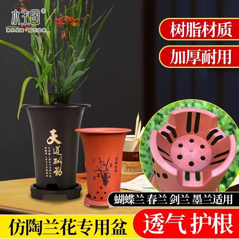 兰花盆家庭兰草专用墨兰君子兰国风大号家用耐用透气塑料加厚树脂,鲜花速递/花卉仿真/绿植园艺,花盆,淘宝优惠券,粉丝福利购,淘宝优惠卷