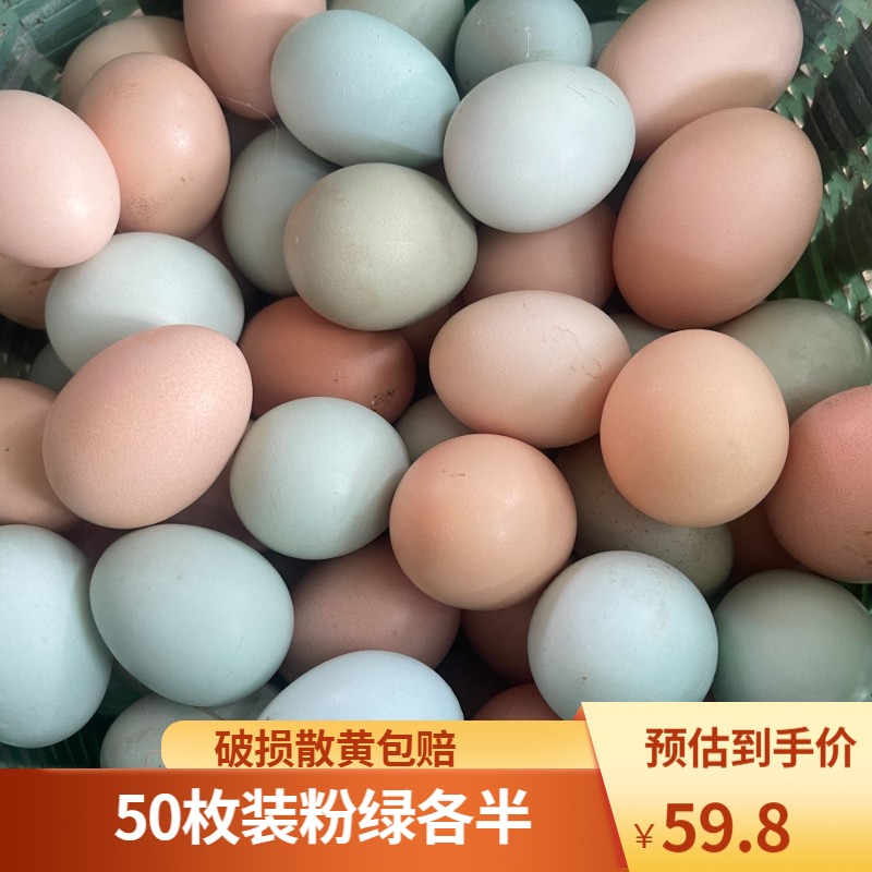 新鲜农村散养土鸡蛋50枚（粉绿各半/全绿壳）当天捡当天发